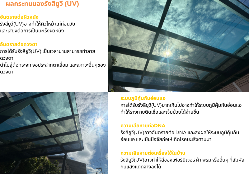 ผลกระทบของรังสียูวี (UV)